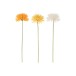 Set de 3 chrysanthemes en plastique orange - blanc - jaune 13x7x60 cm Set de 3 chrysanthemes en plastique orange - blanc - jaune 13x7x60 cm