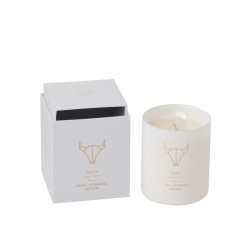 Vela perfumada signo de Tauro 50H en tarro de vidrio blanco 8x8x9.5 cm