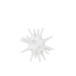 OURSIN RESINE BLANC