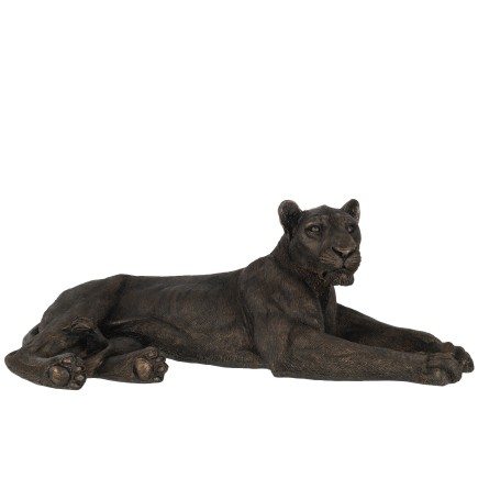 Leona acostada en polirresina bronce 79x38.5x29 cm.