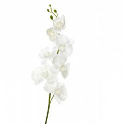 Orchidée en plastique blanc 12x5x98 cm