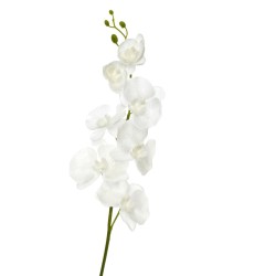 Orchidée en plastique blanc 12x5x98 cm