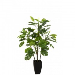 Philodendron en pot en plastique vert 73x73x117 cm