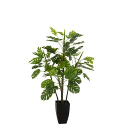 Philodendron en pot en plastique vert 73x73x117 cm