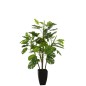 Philodendron en pot en plastique vert 73x73x117 cm Philodendron en pot en plastique vert 73x73x117 cm
