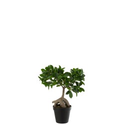 Árbol de ficus en maceta de tela verde de 25x13x37 cm