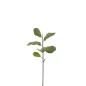 Branche de figuier en textile vert 87x29x2 cm Branche de figuier en textile vert 87x29x2 cm