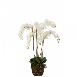 Planta de orquídea en textil blanco de 60x53x104 cm