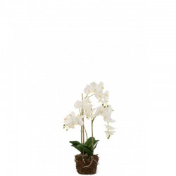 Plant d'orchidée en textile blanc 32x32x75 cm