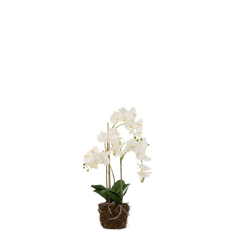Planta de orquídea en textil blanco de 32x32x75 cm