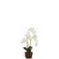 Planta de orquídea en textil blanco de 32x32x75 cm
