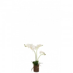 Planta de orquídea en textil blanco de 30x15x52 cm