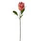 Branche de protea en plastique rouge 20x11x67 cm Branche de protea en plastique rouge 20x11x67 cm