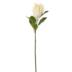 Rama de protea de plástico crema de 21x10x67 cm