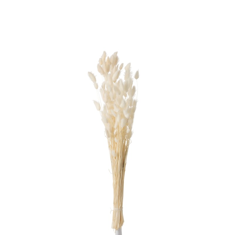 Bouquet de fleurs sèchées en bois blanc 10x10x73 cm Bouquet de fleurs sèchées en bois blanc 10x10x73 cm