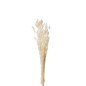 Bouquet de fleurs sèchées en bois blanc 10x10x73 cm Bouquet de fleurs sèchées en bois blanc 10x10x73 cm