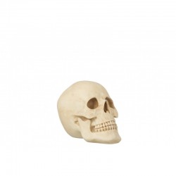 Crâne d'humain en résine beige 26x18x19 cm