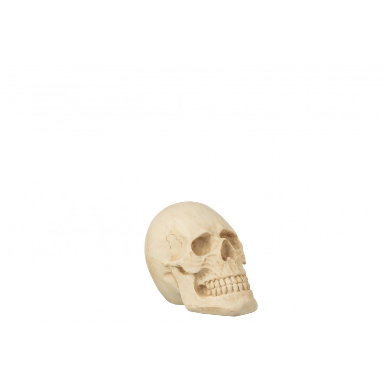 Cráneo humano de resina beige de 20x14x15 cm