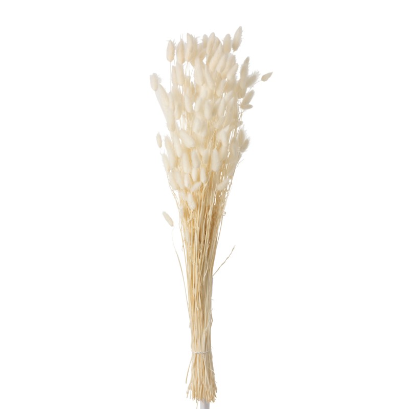 Buquê de flores secas brancas 14x3x86cm Buquê de flores secas brancas 14x3x86cm