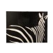 Moldura retangular com zebra em 120x1x90 cm Moldura retangular com zebra em 120x1x90 cm