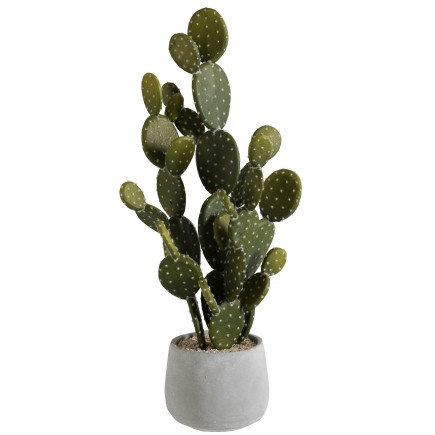 Cactus artificiale in vaso di cemento grigio H66cm