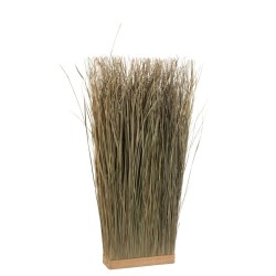 Herbes séchées verte 30x10x90 cm