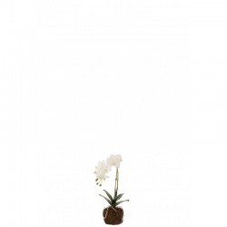 Plant d'orchidée en textile blanc 23x17x40 cm