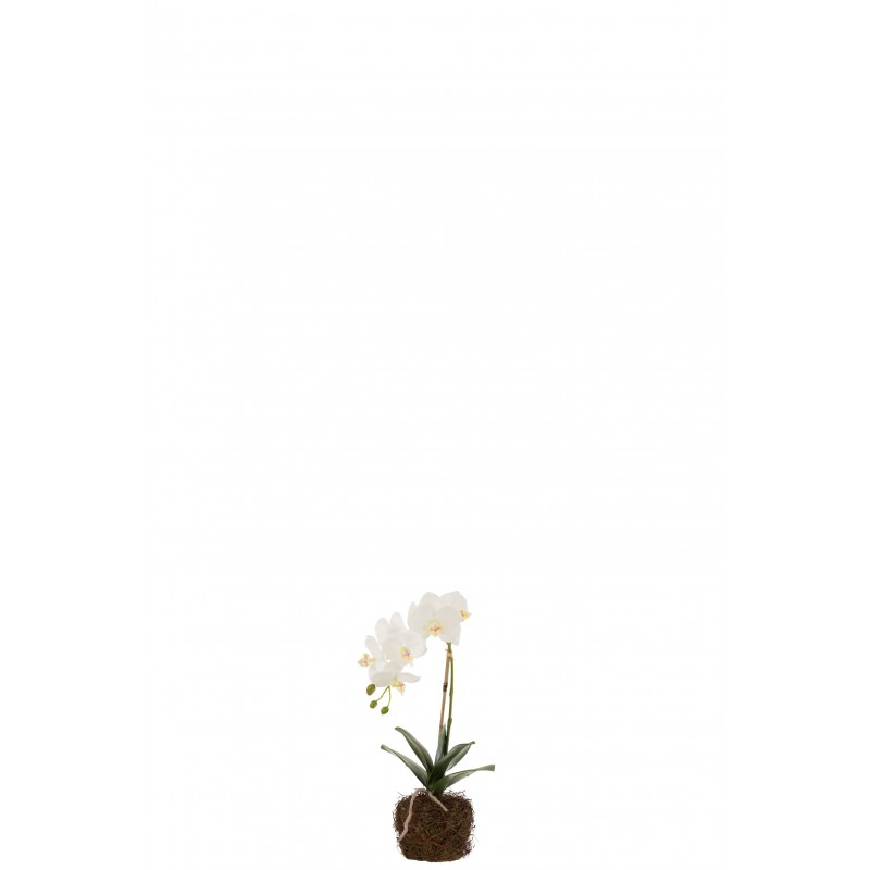 Planta de orquídea en textil blanco de 23x17x40 cm