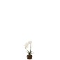 Plant d'orchidée en textile blanc 23x17x40 cm Plant d'orchidée en textile blanc 23x17x40 cm