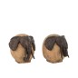 Set de 2 têtes d’éléphants en bois Bronze 18x16x17 cm Set de 2 têtes d’éléphants en bois Bronze 18x16x17 cm