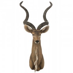 Tête d’antilope en résine marron 50x47x85 cm