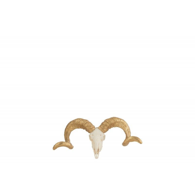 Cráneo de oveja con cuernos dorados de resina blanca 32x11x16 cm