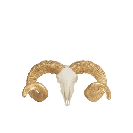 Crâne de mouton avec cornes dorées en résine blanche 43x34.5x16.5 cm