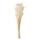 Bouquet di fiori secchi bianchi 14x3x86cm Bouquet di fiori secchi bianchi 14x3x86cm