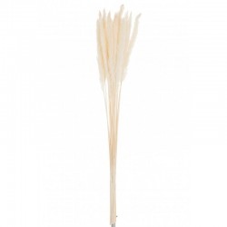 Bouquet de plumes fines en bois crème 11x11x75 cm