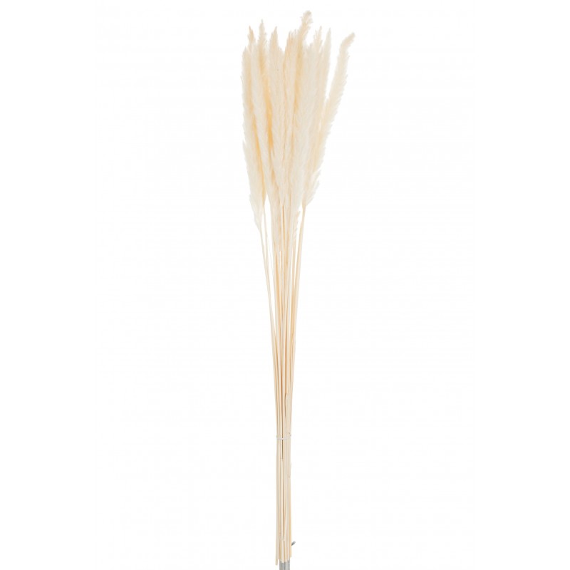 Bouquet de plumes fines en bois crème 11x11x75 cm
