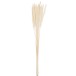 Bouquet de plumes fines en bois crème 11x11x75 cm