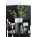Vase rond bicolore en verre noir 12x12x21 cm Vase rond bicolore en verre noir 12x12x21 cm
