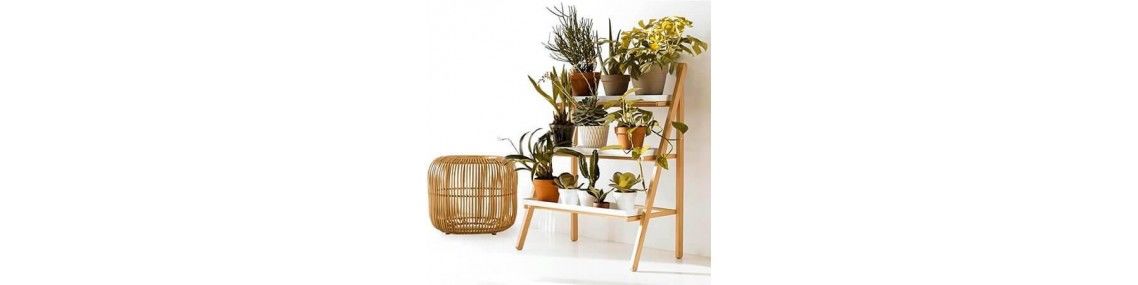 Casa | Jardín